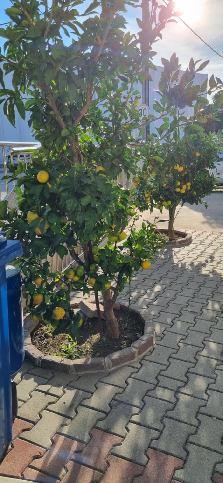 Apartments Strkalj Bibinje Kültér fotó
