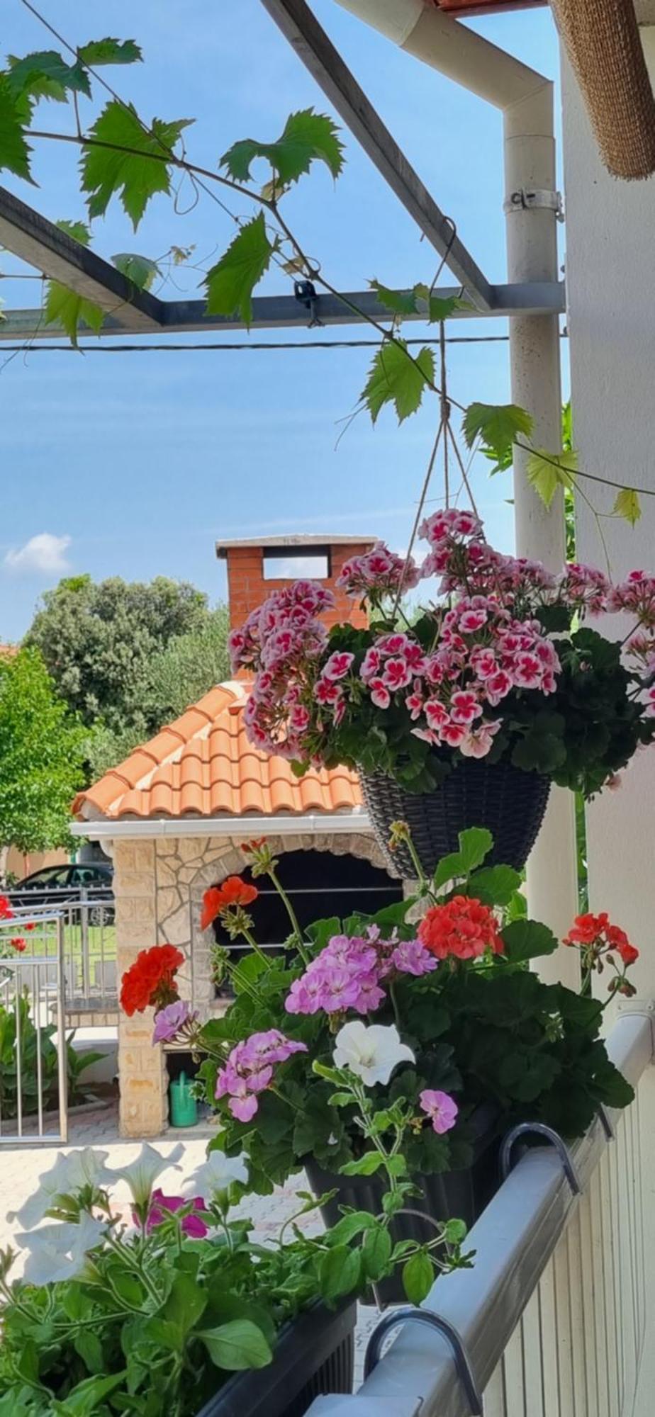 Apartments Strkalj Bibinje Kültér fotó